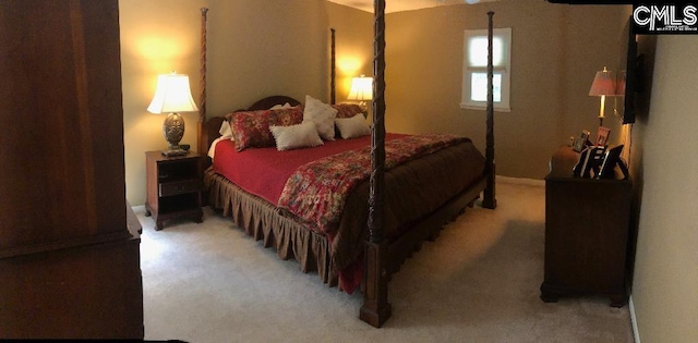 325 Pond View Ln, Lexington, SC 29072 - view of carpeted bedroom