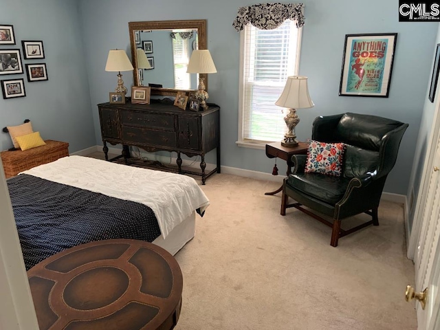 325 Pond View Ln, Lexington, SC 29072 - bedroom featuring light colored carpet and baseboards