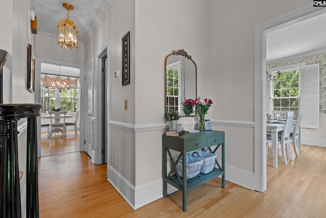 22 Mallet Hill Ct, Columbia, SC 29223 - corridor featuring a chandelier, plenty of natural light, light wood-type flooring, and crown molding