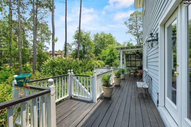 22 Mallet Hill Ct, Columbia, SC 29223 - view of deck