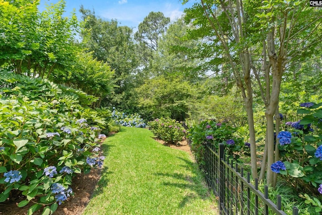 22 Mallet Hill Ct, Columbia, SC 29223 - view of yard