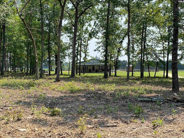290 Gunter Pond Rd, Wagener, SC 29164 - view of yard