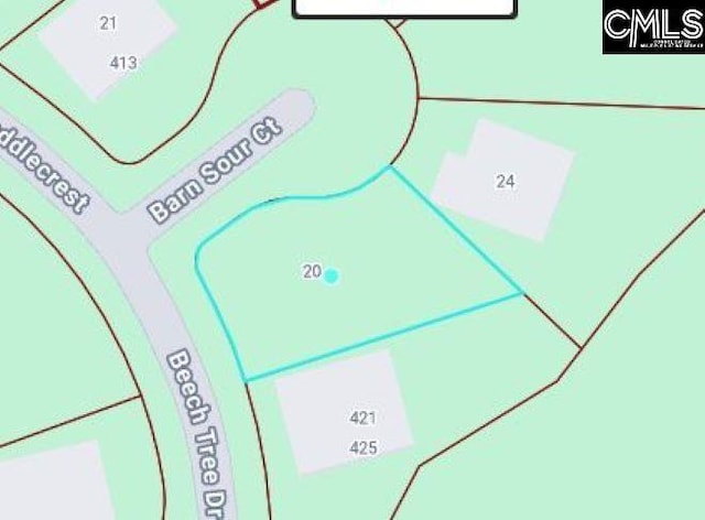 20 Barn Sour Ct, Blythewood, SC 29016