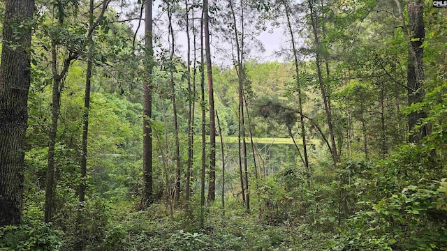 310 Andrew Corley Rd, Lexington, SC 29072 - view of tree filled area