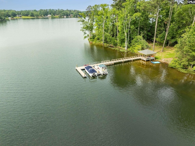 668 Clipper Trl Unit 13, Chapin, SC 29036