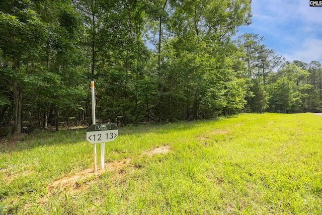 668 Clipper Trl Unit 13, Chapin, SC 29036
