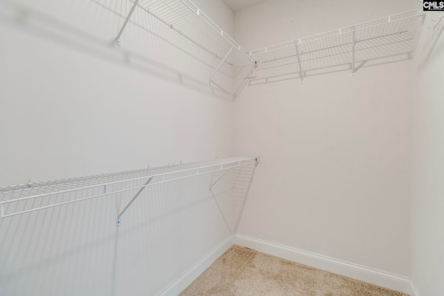 571 Maple Valley Loop, Blythewood, SC 29016 - spacious closet featuring light carpet
