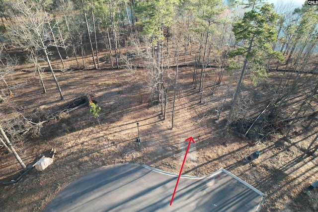 1533 Saugus Ct, Chapin, SC 29036