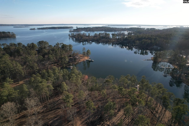 1533 Saugus Ct, Chapin, SC 29036