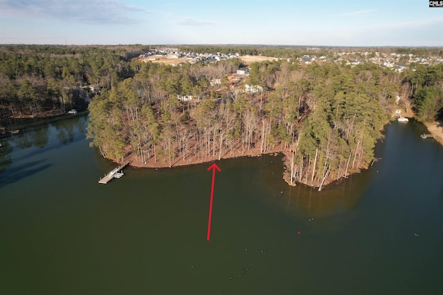 1533 Saugus Ct, Chapin, SC 29036