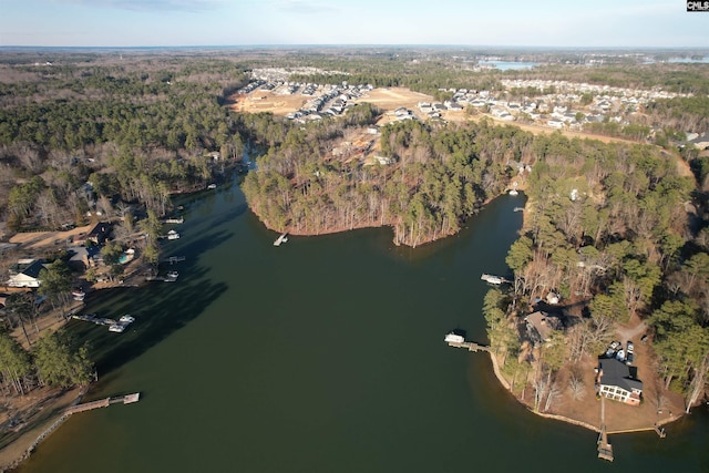1533 Saugus Ct, Chapin, SC 29036