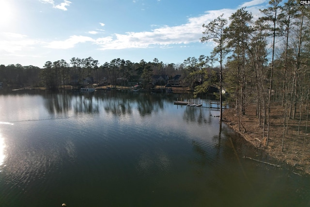 1533 Saugus Ct, Chapin, SC 29036
