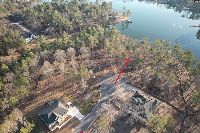 1533 Saugus Ct, Chapin, SC 29036