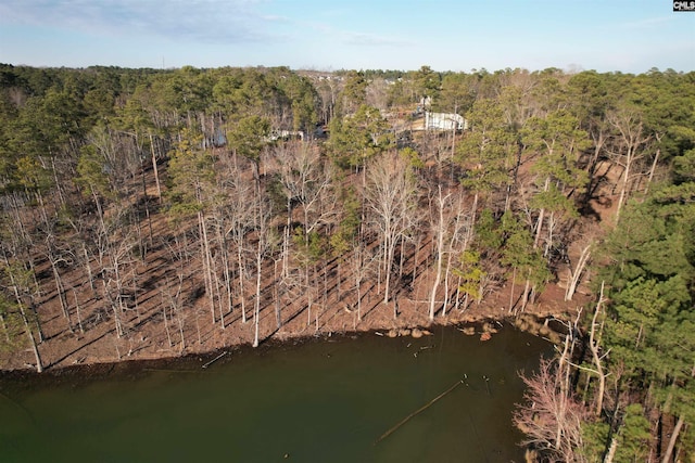 1533 Saugus Ct, Chapin, SC 29036