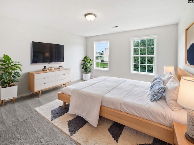 186 Fallstaff Rd, Columbia, SC 29229 - carpeted bedroom featuring baseboards