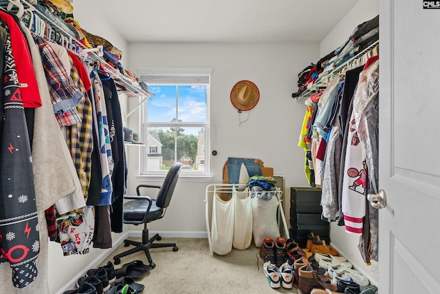 17 Cypress Cove Rd, Columbia, SC 29229 - spacious closet with carpet