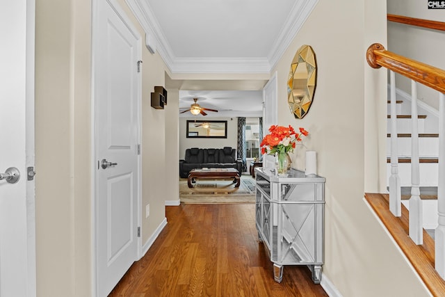 17 Cypress Cove Rd, Columbia, SC 29229 - corridor with dark wood-type flooring, ornamental molding, stairway, and baseboards