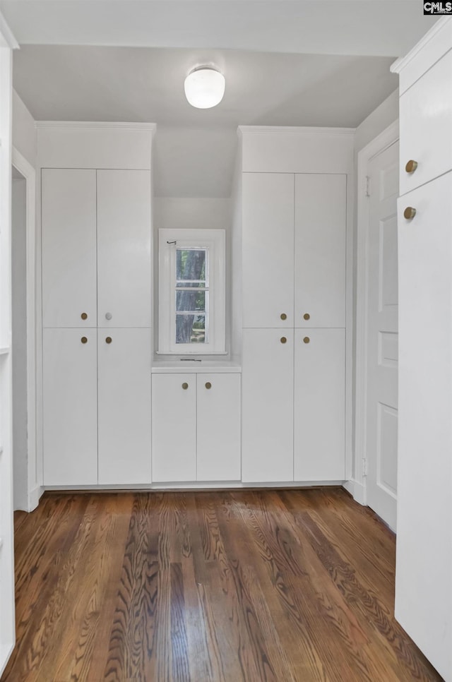 723 Hampton Hill Rd, Columbia, SC 29209 - foyer featuring dark wood finished floors