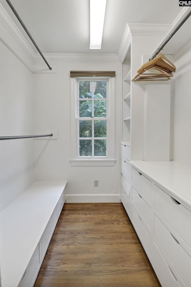 723 Hampton Hill Rd, Columbia, SC 29209 - walk in closet with wood finished floors