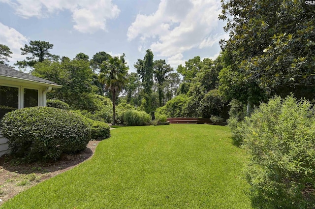 723 Hampton Hill Rd, Columbia, SC 29209 - view of green lawn