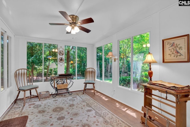 24 Stoney Pointe Dr, Chapin, SC 29036 - sunroom with wood finished floors, plenty of natural light, and baseboards