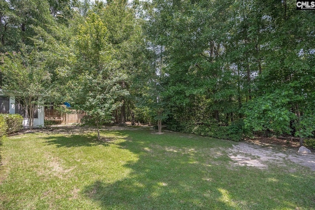 24 Stoney Pointe Dr, Chapin, SC 29036 - view of yard