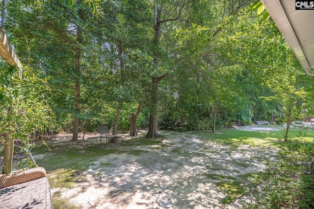 24 Stoney Pointe Dr, Chapin, SC 29036 - view of yard