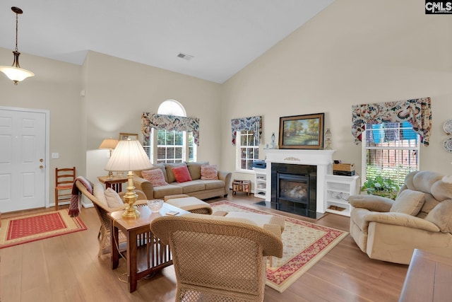 24 Stoney Pointe Dr, Chapin, SC 29036 - living room featuring high vaulted ceiling, wood finished floors, and a fireplace with flush hearth