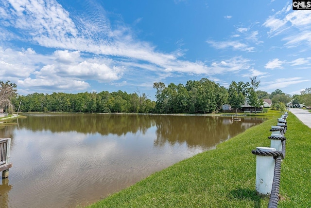 24 Stoney Pointe Dr, Chapin, SC 29036 - water view