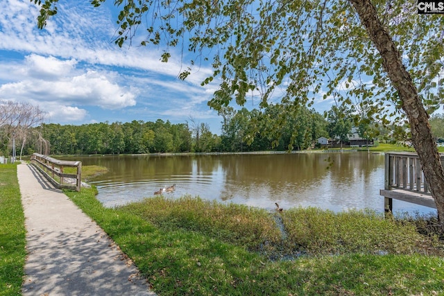 24 Stoney Pointe Dr, Chapin, SC 29036 - water view