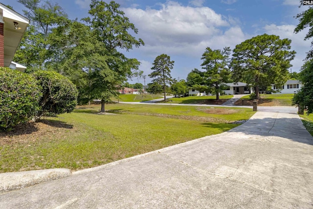 1109 F Ave, Cayce, SC 29033 - view of grassy yard with driveway and a residential view