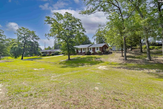 1109 F Ave, Cayce, SC 29033 - view of grassy yard with dirt driveway