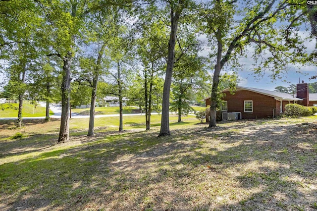 1109 F Ave, Cayce, SC 29033 - view of grassy yard