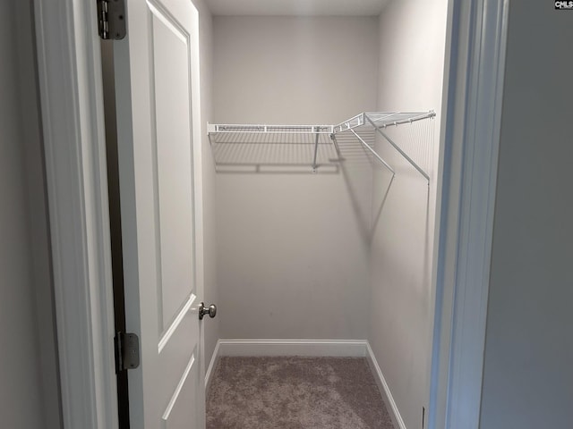 739 Jacobs Mill Pond Rd Unit 21, Elgin, SC 29045 - spacious closet featuring carpet floors