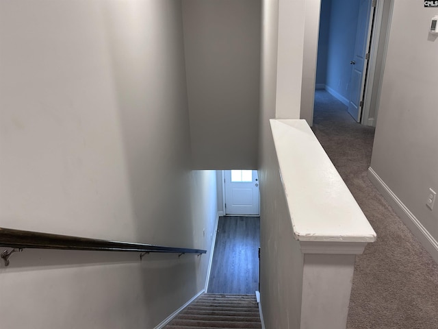 739 Jacobs Mill Pond Rd Unit 21, Elgin, SC 29045 - staircase featuring carpet and baseboards