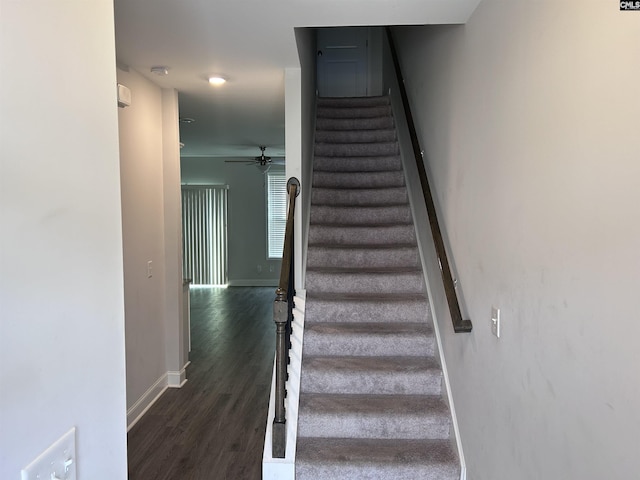739 Jacobs Mill Pond Rd Unit 21, Elgin, SC 29045 - staircase with wood finished floors, baseboards, and a ceiling fan