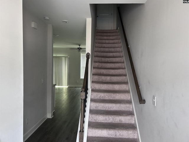 739 Jacobs Mill Pond Rd Unit 21, Elgin, SC 29045 - stairway with wood finished floors, ceiling fan, and baseboards