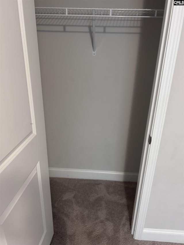 739 Jacobs Mill Pond Rd Unit 21, Elgin, SC 29045 - view of closet