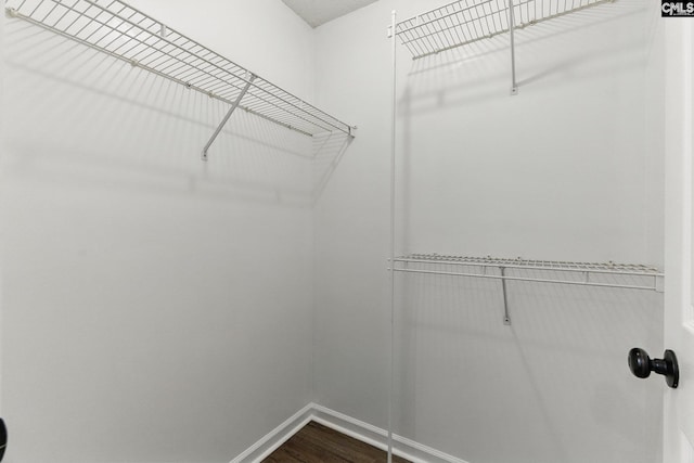 1149 Pond Branch Rd, Gilbert, SC 29054 - walk in closet featuring dark wood-style flooring