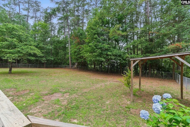 1149 Pond Branch Rd, Gilbert, SC 29054 - view of fenced backyard