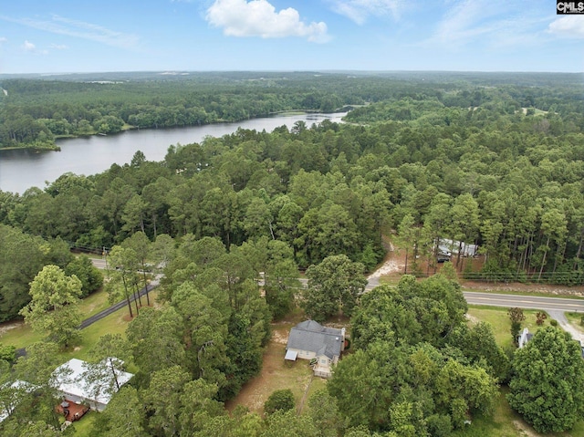 1149 Pond Branch Rd, Gilbert, SC 29054 - view of property location featuring a heavily wooded area and a large body of water