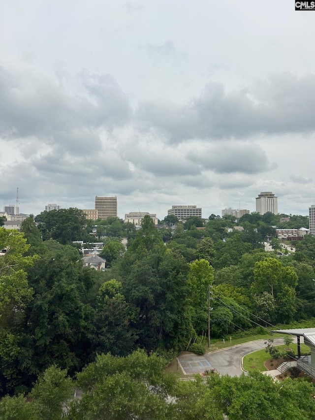 1600 Park Cir Unit 802, Columbia, SC 29201 - city view