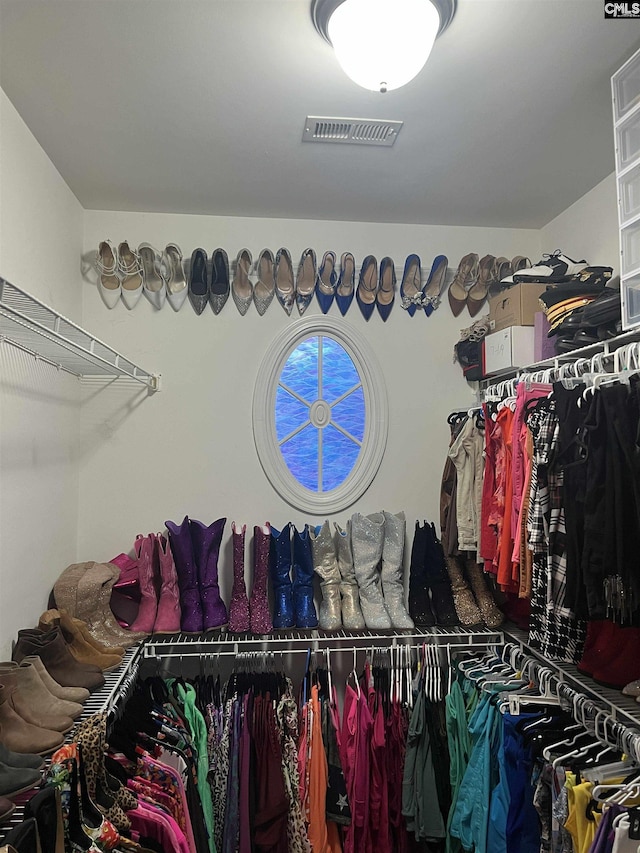 28 Calabash Ln, Elgin, SC 29045 - view of walk in closet