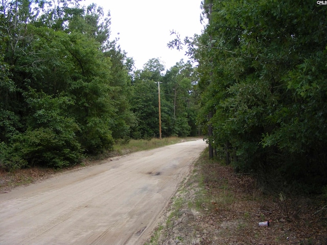 133 Tom Lucas Rd, Pelion, SC 29123
