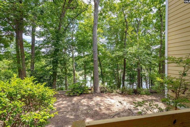 1850 Atlantic Dr, Columbia, SC 29210 - view of yard