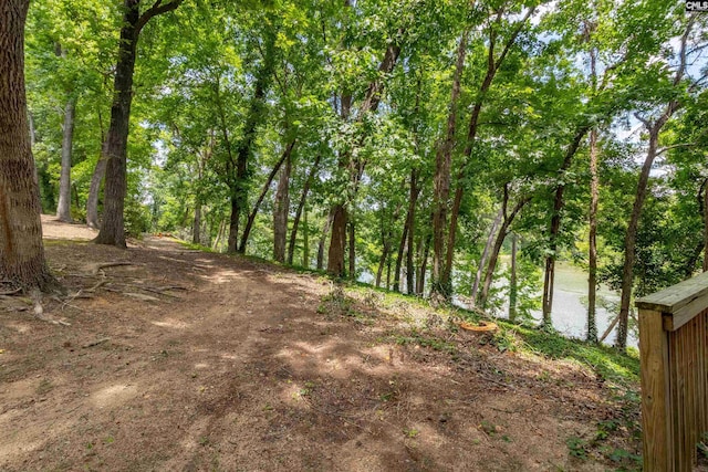 1850 Atlantic Dr, Columbia, SC 29210 - view of yard