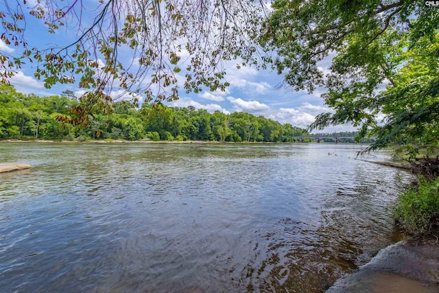 1850 Atlantic Dr, Columbia, SC 29210 - water view featuring a forest