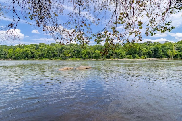 1850 Atlantic Dr, Columbia, SC 29210 - water view featuring a forest