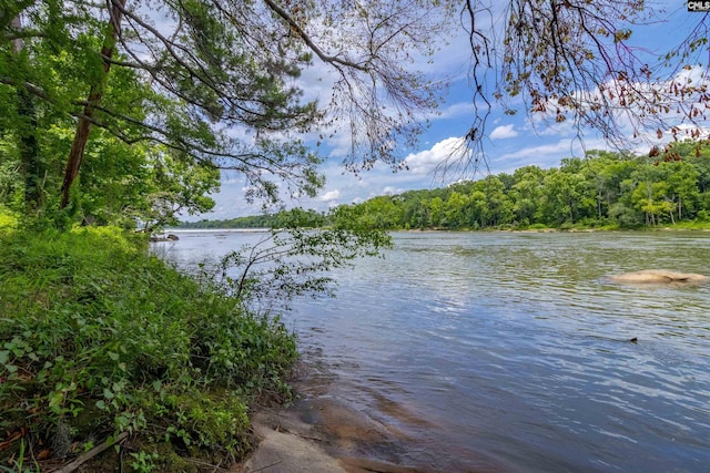 1850 Atlantic Dr, Columbia, SC 29210 - water view featuring a forest