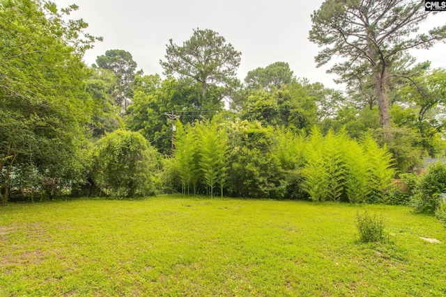 1710 Budon Ct, Columbia, SC 29204